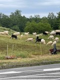fotogalerija/received_156