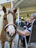 fotogalerija/received_163