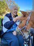 fotogalerija/received_164