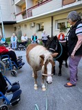 fotogalerija/received_165