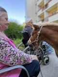 fotogalerija/received_166