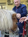 fotogalerija/received_167