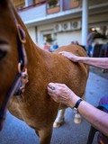 fotogalerija/received_168
