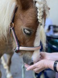 fotogalerija/received_169