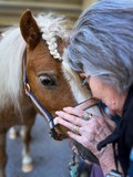 fotogalerija/received_173