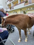 fotogalerija/received_180