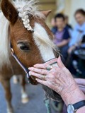 fotogalerija/received_182