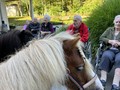 fotogalerija/received_184