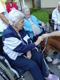 fotogalerija/received_185