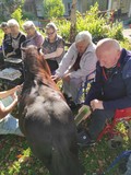 fotogalerija/received_186
