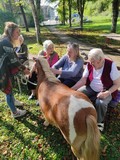 fotogalerija/received_188