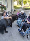fotogalerija/received_189