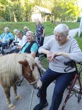 fotogalerija/received_192